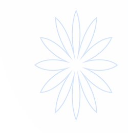 必博(bibo)官方网站